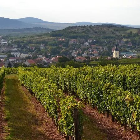 بيت ضيافة R40 Vendeghaz 3*